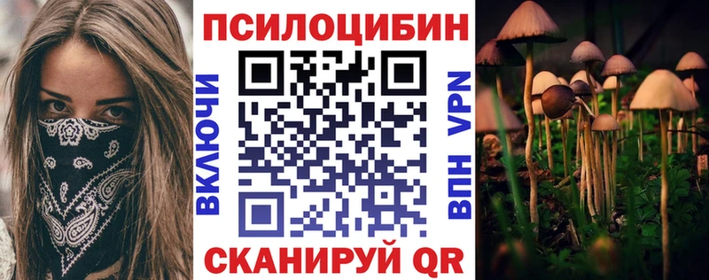 магазин продажи   Усолье  мега маркетплейс  Псилоцибиновые грибы Psilocybe 